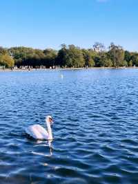Escape the City: Best Parks & Green Spaces in London 🌿✨