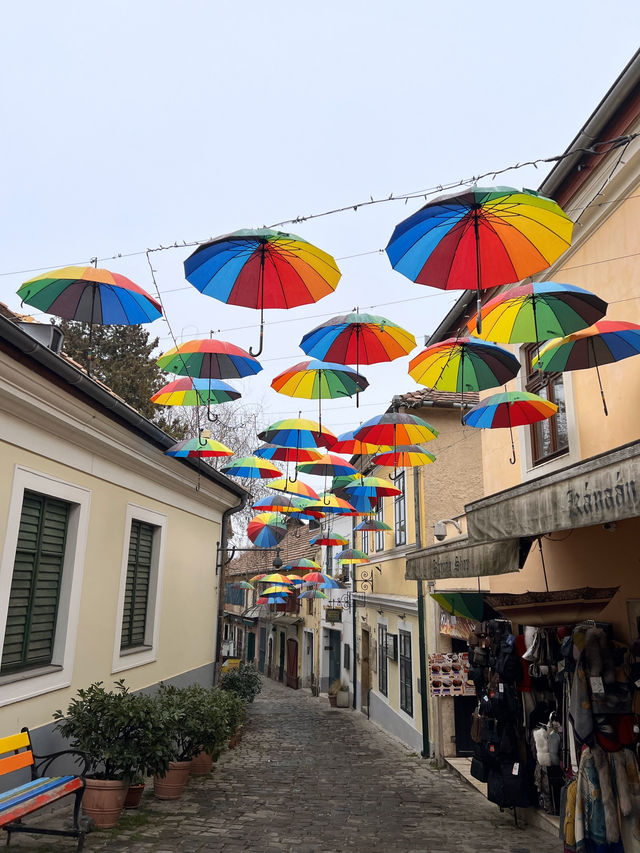 🇭🇺 聖安德烈（Szentendre）☂️