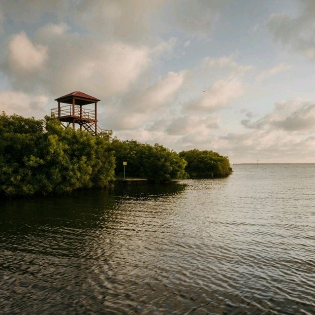   Kolkheti national park-the defender of nature