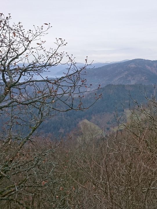 🌿 Exploring the Hills Around Freiburg