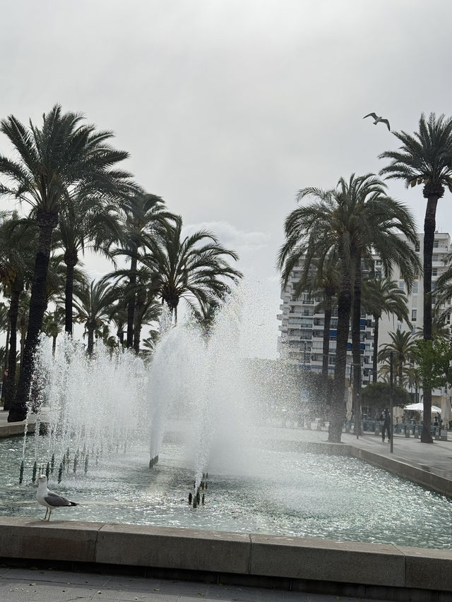 Fountain Located at 📍Sant Antoni Eivisa