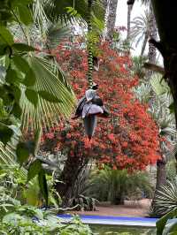 The Majorelle Garden in Marrakech is a true bliss for lovers of nature and art.