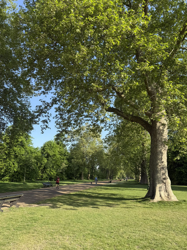 Escape into Kensington Gardens: Where Royal Charm Meets Everyday Magic