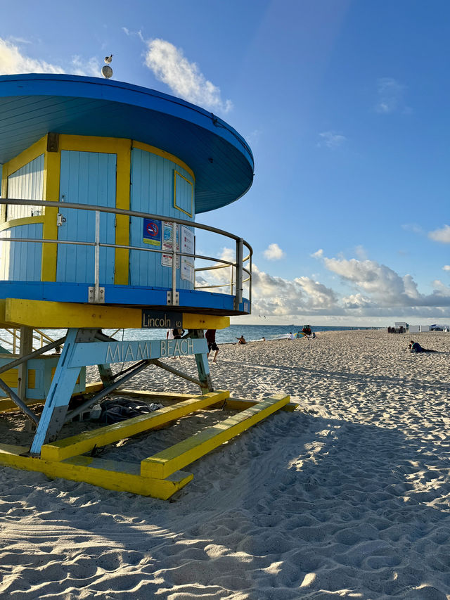 Our 3-Day Miami Beach Adventure! 🌴🌊