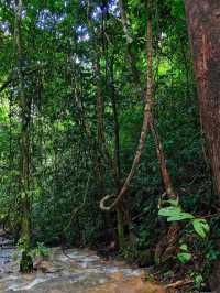 Khao Sok: Floating Dreams and Jungle Adventures in Southern Thailand