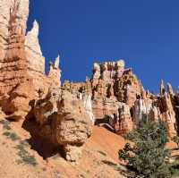 🚐 Getting Around Bryce Canyon National Park: Transportation Tips