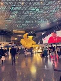 Number1 Airport In the World🤩