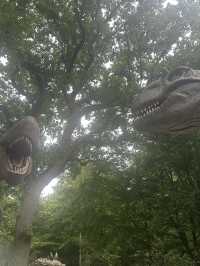 Hertfordshire Zoo… get up close and personal 