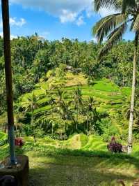 Tegallalang Rice Terraces, Bali: A Green Paradise of Harmony and Heritage