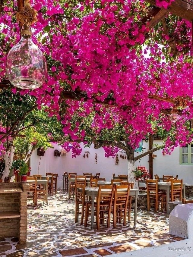 🏝️ Timeless Beauty in White and Blue – Paros, Greece