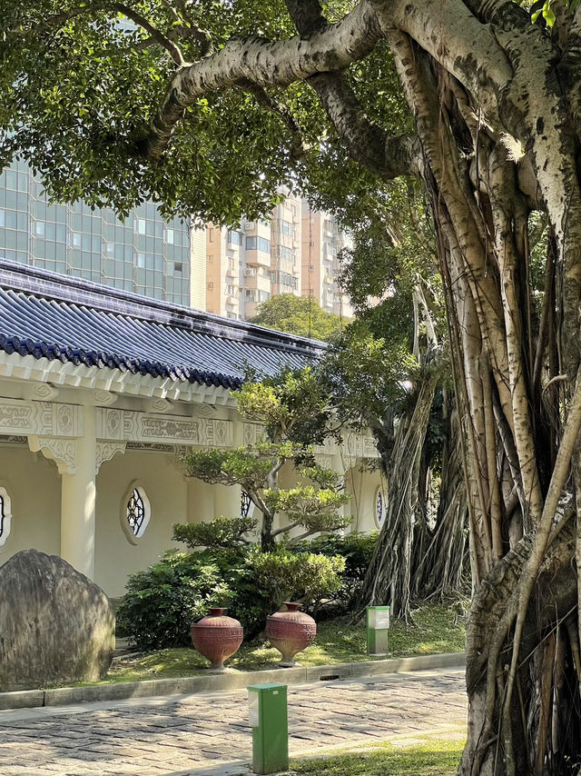 📍 타이베이 당일치기 여행 코스 ✨ 한눈에 담는 대만 감성