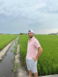 Sekinchan Paddy Gallery: Where Rice Meets Discovery