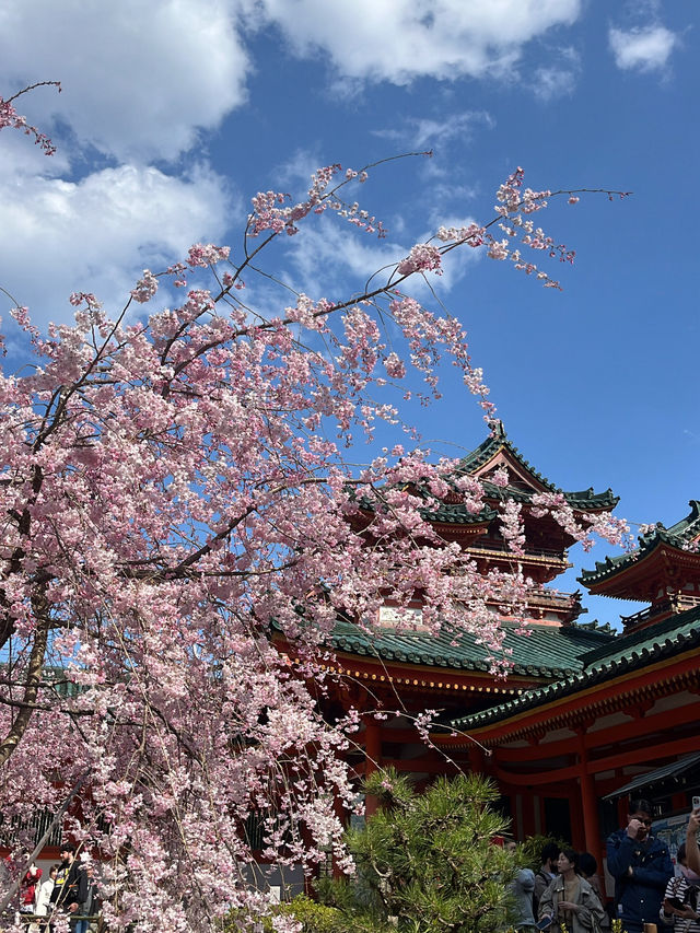 🍃⛩️ Kyoto – Where tradition whispers through every street 🇯🇵✨
