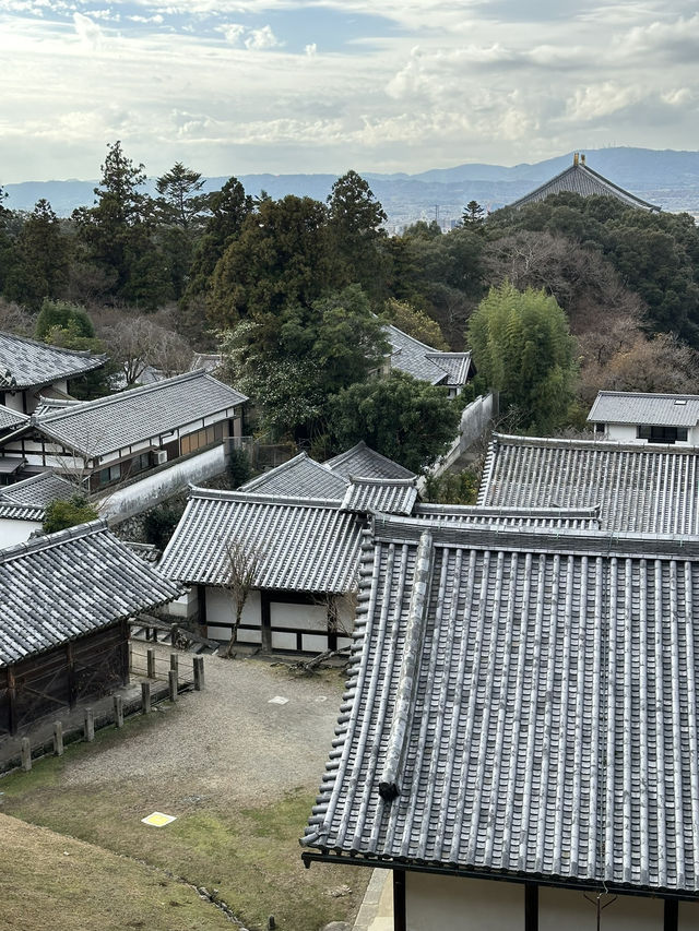 Exploring Nara’s temple circuit is a must for any Japan trip