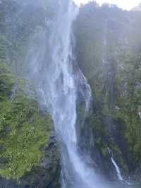 Milford sound 