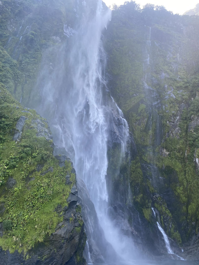 Milford sound 
