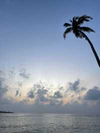🌴 Thulusdhoo Holiday – Relax, Explore, Repeat 🌊✨