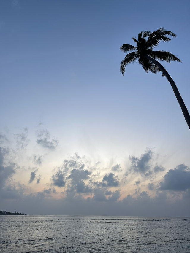 🌴 Thulusdhoo Holiday – Relax, Explore, Repeat 🌊✨ 🌴 Thulusdhoo Holiday – Relax, Explore, Repeat 🌊✨