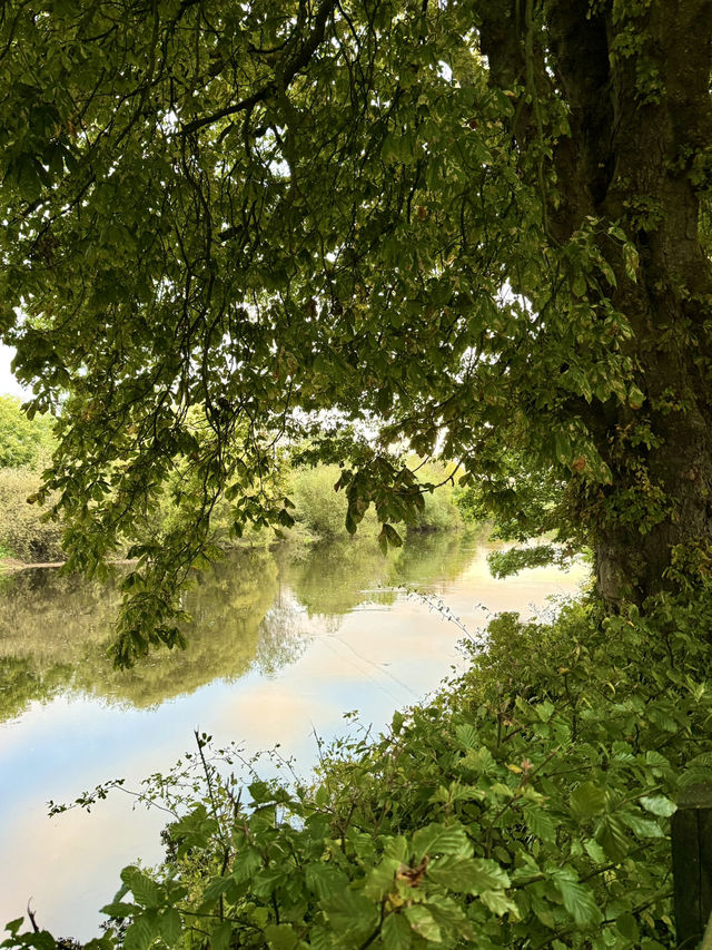 Morning Coffee by the River