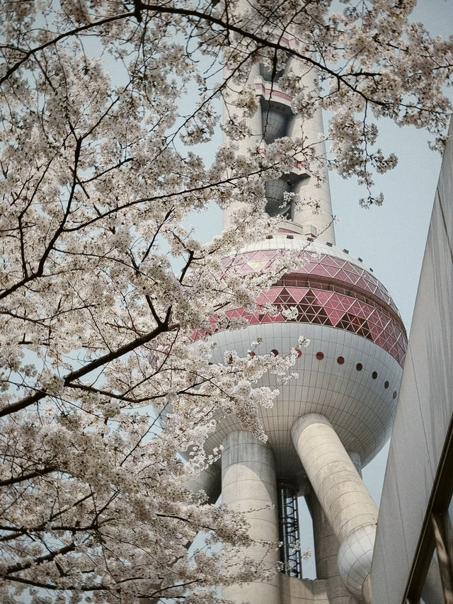 🏙️ 5 Days in Shanghai 🏙️ 5 Days in Shanghai
