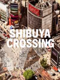 Top daytime spots in Tokyo ( number 3 may be a surprise)