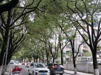 貴陽秋天小旅行