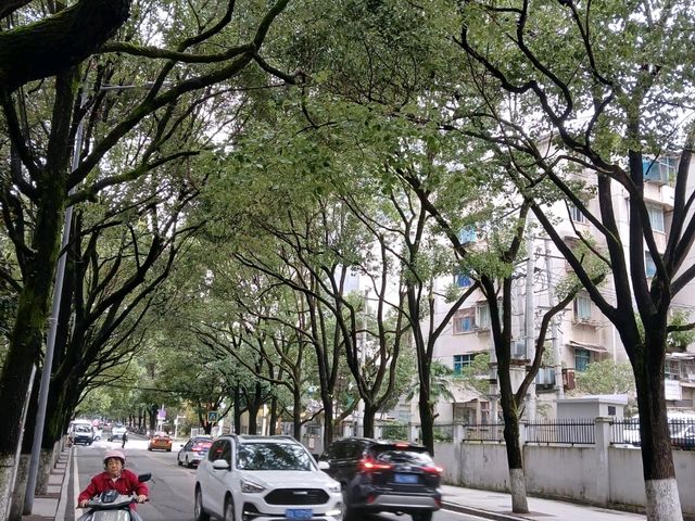 貴陽秋天小旅行