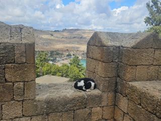 Just got back from Rhodes and you NEED to visit Lindos Acropolis for those epic ancient vibes and sweeping views! 🌞🐾

Top Spots to Visit in Rhodes:
- Lindos Acropolis: Perched high above Lindos, this centuries-old citadel offers knockout views of the Aegean and magical ruins. If you’re traveling in October, hours are 08:00–17:00, and tickets cost about 290 (bring some cash for ticket kiosks!). Pro tip: Start your climb early morning to avoid the heat and crowds. The higher ground isn’t just history—it’s one sensational slice of Greek island scenery! 🌄

Travel Hack:
- The hike up is quite steep, but totally worth it! Wear supportive shoes, carry water, and pace yourself. I bumped into a local black & white cat chilling by the stone walls—Rhodes really is that laid-back. 😺

Food Recommendation:
- Once you’re done exploring, check out the little tavernas in Lindos village for classic Greek eats—think grilled octopus and local salads. Don’t miss a chilled Mythos beer with a balcony view!

Getting Around:
- Local buses connect Rhodes Town and Lindos (approx. 1.5 hours each way); or, book directly through trip.com and hitch a taxi for speedier travel. Roads are winding, so factor in some extra time.

Useful Tips:
- Rhodes is sunny well into autumn—bring a hat, sunblock, and your camera! Lindos Acropolis is a must-see for outdoor cultural landscapes and Insta-worthy backdrops (especially with a cat cameo).
#RhodesAdventure #LindosAcropolis #GreekIslands #Tripcom #CatsofGreece