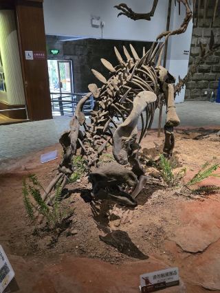 遊客體驗與教育價值