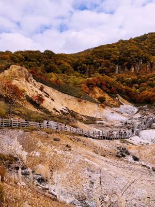 Wild Flavors & Pure Nature: Spring in Shikotsu-Toya 🇯🇵