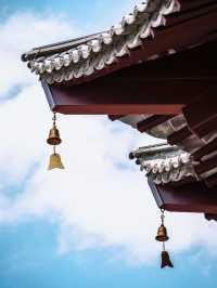 這還是我認識的那個盤龍寺嗎？