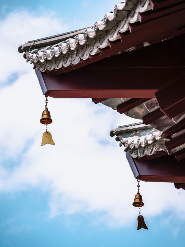 這還是我認識的那個盤龍寺嗎？