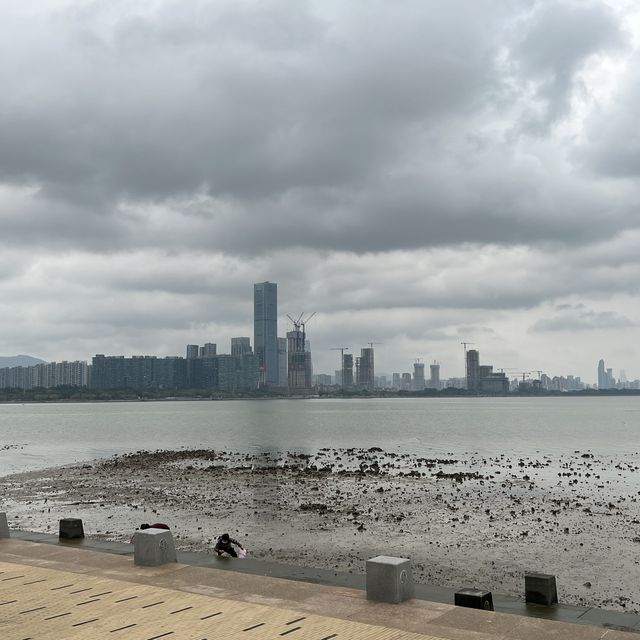 打卡深圳灣流花山公園