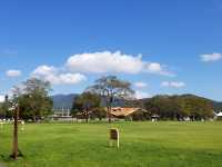 Karuizawa's light and shadow