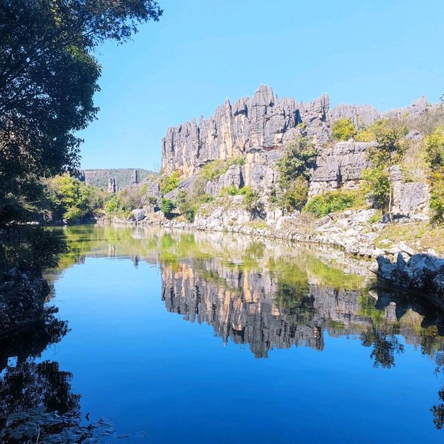 The Stone Forest | Kunming 