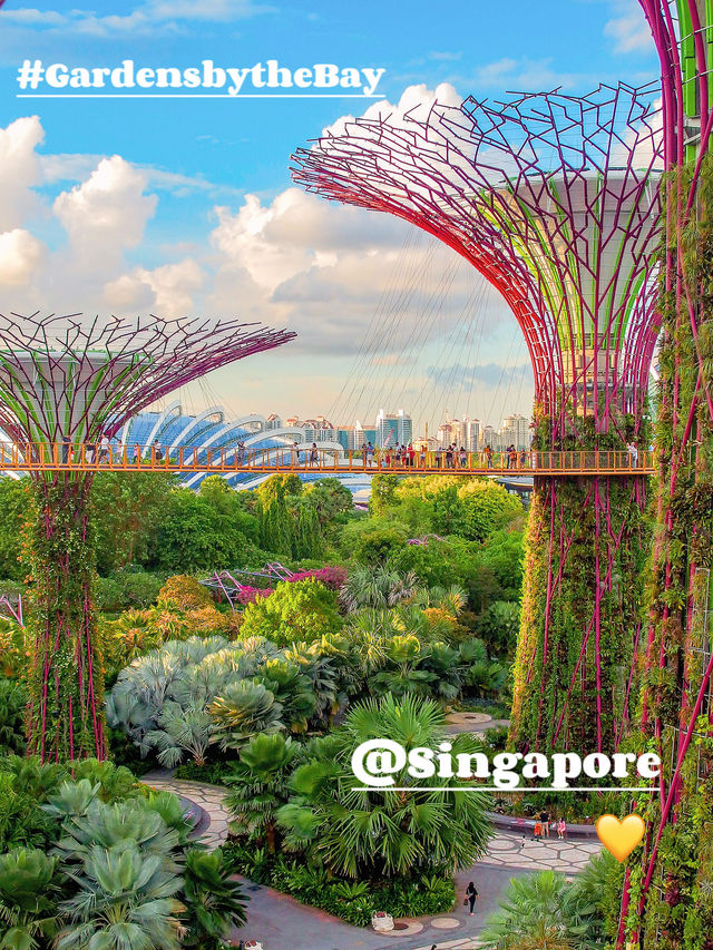 Gardens by the Bay: What to Do & Eat