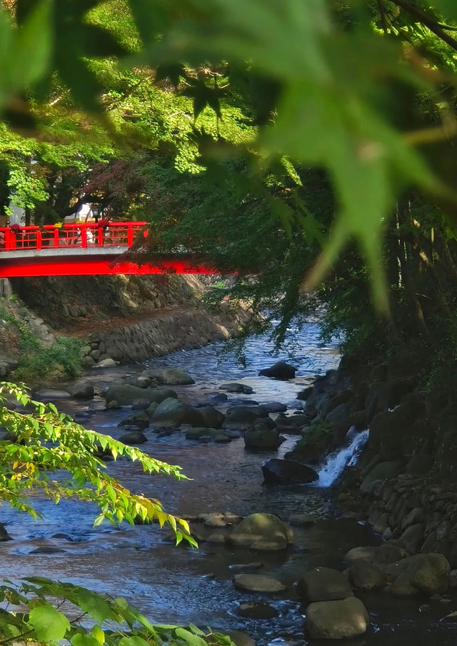 日本遊玩推薦—修善寺