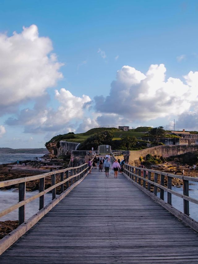 "La Perouse：悉尼沿海的攝影仙境與日落魅影"