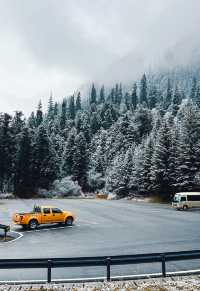 九寨溝|突遇下雪，在九寨溝失控了