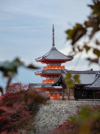 The Timeless Beauty of Shitennoji Temple