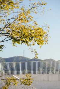 台州小眾自駕路線·從神秘古村穿越當代藝術