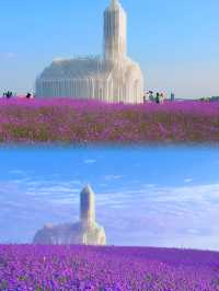 “成都版普羅旺斯”-夢幻紫花海圓你公主夢