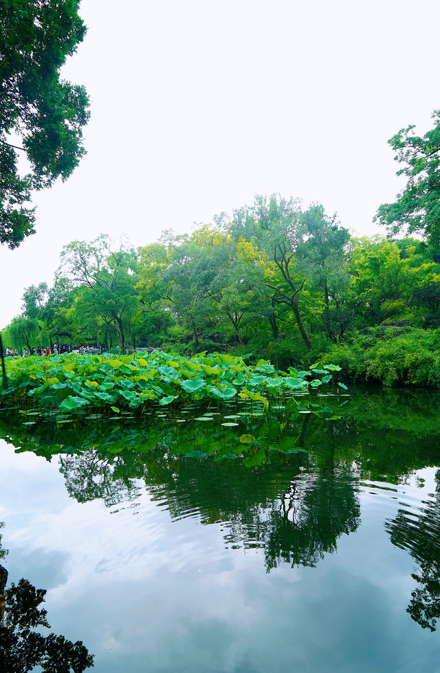 親子遊好去處/蘇州後花園—拙政園 親子遊好去處/蘇州後花園—拙政園
