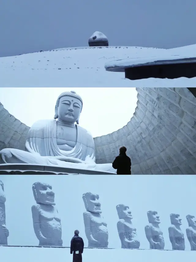 北海道頭大佛🗿札幌超細眾景點