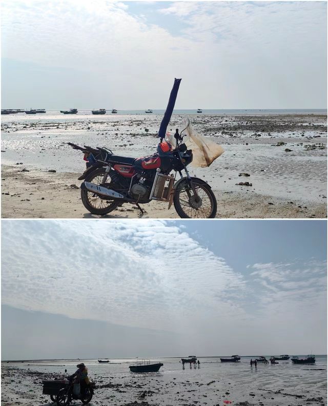 超好看的小海島啊！湛江南極村