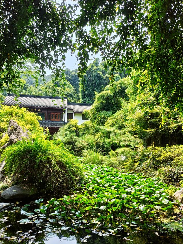 萬松書院 | 隱藏在杭州的清幽之地