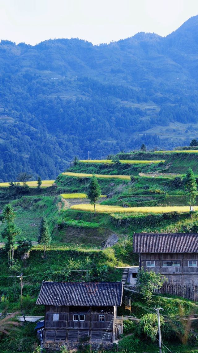 反向旅行 | 雀鳥苗寨——被遺忘的星球村落 反向旅行 | 雀鳥苗寨——被遺忘的星球村落
