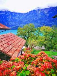 進入仙境——探索瑞士阿爾卑斯山最美花園！