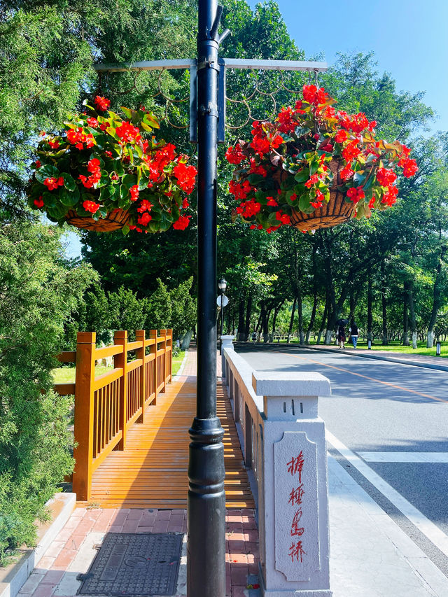 趁國慶打卡祖國大好河山—大連後花園棒槌島