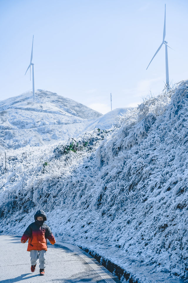 廣州周邊看雪聖地，雲端賞冰雪霧凇奇觀